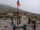 7 TA Trail NZ. Old Man summit. Richmond Ranges.jpg