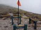 7 TA Trail NZ. Old Man summit. Richmond Ranges.webp