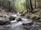 2 Old Man circuit. Multiple stream crossings. Richmond Ranges.jpg