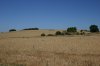 0696-landscape after Oncina (Leon-Vilar de Mazarife, 12.07.14).jpg