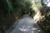 0808-Camino before Toral de Merayo (Ponferrada-Priaranza del Bierzo, 17.07.14).jpg