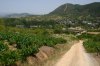 0813-view back at Toral de Merayo (Ponferrada-Priaranza del Bierzo, 17.07.14).jpg