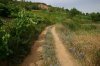 0823-Camino out of Priaranza (Priaranza del Bierzo-Las Medulas, 18.07.14).jpg