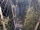 Day 2.4 swingbridge just before Waingaro Forks Hut. Kahurangin National Park. NZ.jpg