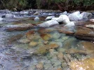 Day 2.7 and then I plunge...5 minutes from WF hut. Kahurangi National Park. NZ.jpg