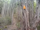 Day 3.1 leaving Waingaro forks hut.  Manuka trail. Kahurangi National Park. NZ.jpg