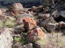 Day 3.3 River stones near Lake Stanley. Kahurangi National Park. NZ.jpg