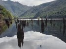 Day 3.6 drowned trees.  Lake Stanley. Kahurangi National Park. NZ.jpg