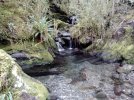 Day 4.5 crystal pond. direction Anatoki Forks hut. Kahurangi National Park. NZ.jpg