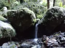 Day 5.4 multiple stream crossings.  Anatoki Track. Kahurangi National Park. NZ.jpg