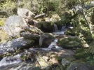 Day 5.5 Multiple stream crossings. Anatoki Track. Kahurangi National Park. NZ.jpg