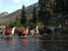 llamas-trek-wyoming.jpg