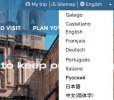 Language menu.jpg