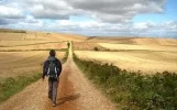 Camino de Santiago3.webp