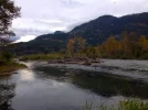 Adams River 3.webp