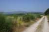 1055-Camino before Penasillas (Chantada-Rodeiro, 27.07.14).jpg