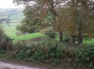 Offas dyke.webp