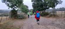 The Camino comes to life.jpg