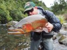 trout-fishing-trips-new-zealand-1024x768.jpg