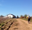 2013, near Villafranca del Bierzo.jpg