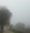 fog hidden void.jpg