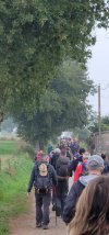 Camino Crowd smaller.jpg