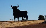 Toro_de_Osborne_(49323741342).jpg