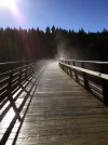 Kinsol Trestle Bridge.webp