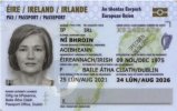IRL passport.jpg