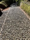 cobbled-street.jpg