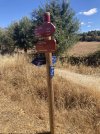 Camino signs at the end.JPG