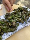 pimientos de padron.jpg