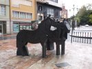 horses-Oviedo.JPG