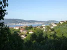 B40 Baiona from Nigran.webp