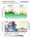 Meteoblue Bentarte.jpg