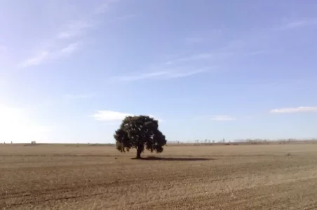 nearing Calzadilla de la Cueza .webp