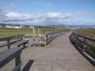 boardwalk.webp