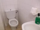 toilet1.webp