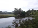 Viveiro river3.webp