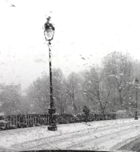 Paris snow 2010.webp