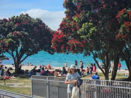 Pohutukawa.webp