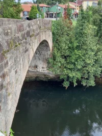 Puente Viejo de Oruña.webp