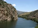 Douro1.webp