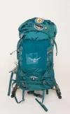 Osprey Kite 1.webp