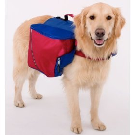backpack dog.jpg