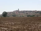 Cervera6.webp