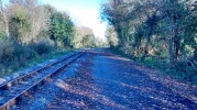 Suir valley walk  train.webp