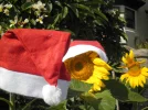 Santa's Sunflower Helpers 007.webp