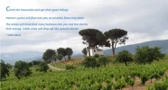 Tree on hill with quote.webp