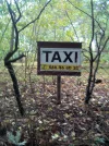 Taxi1.webp